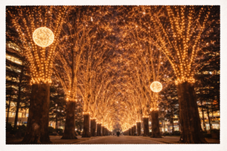 仙台 光のページェント 食べ歩き｜また絶対に訪れたい、冬の記憶と笹かまぼこ